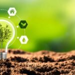 Sustainability in Business: Why It’s More Than Just a Trend